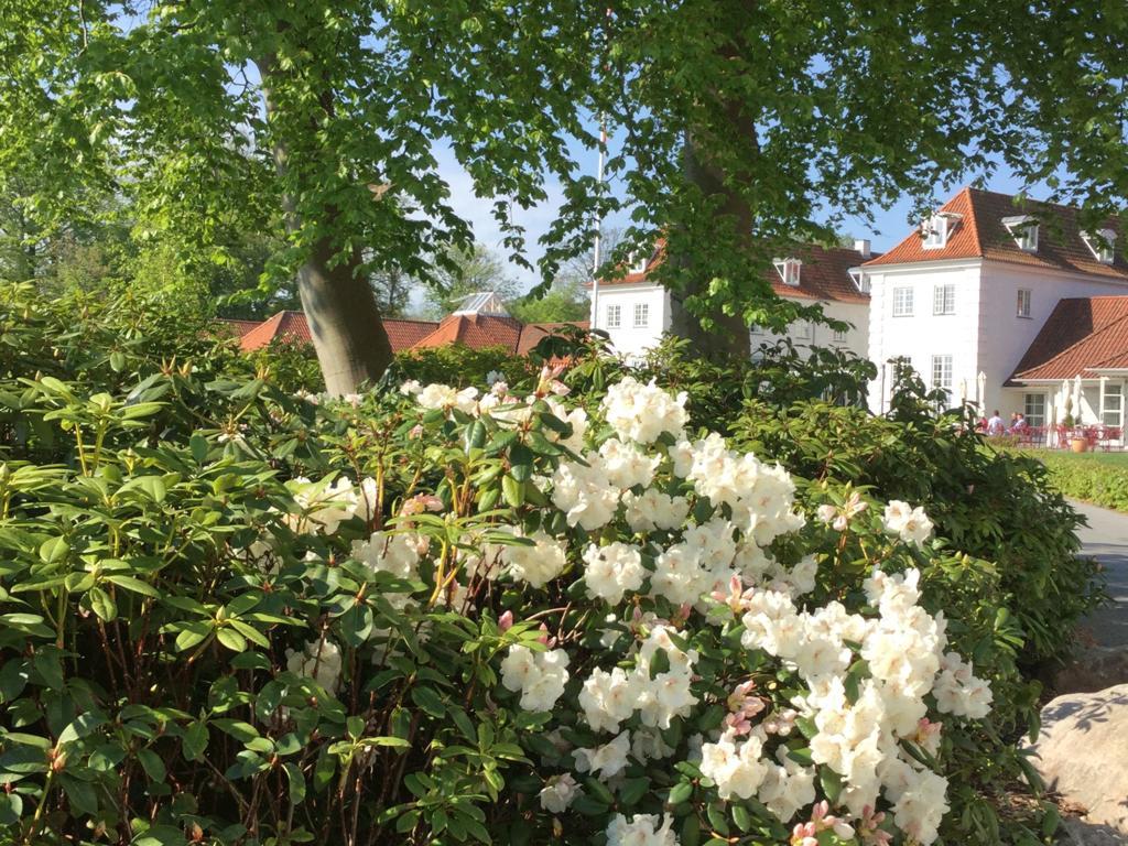 Rungstedgaard Hotel Exterior foto
